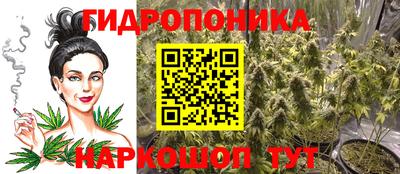 индика Севастополь