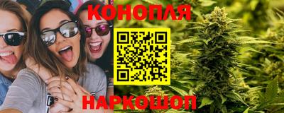 индика Севастополь