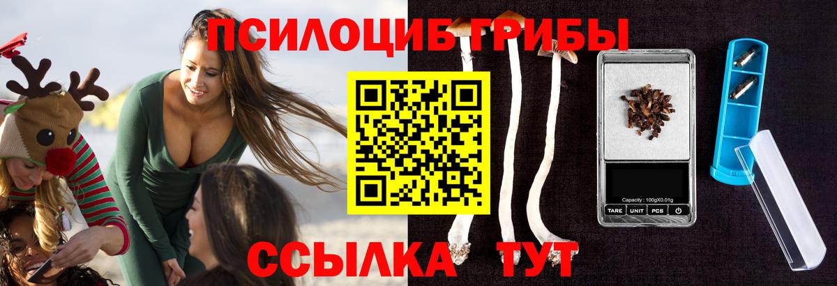 Галлюциногенные грибы ЛСД  Вход с VPN  Северобайкальск 